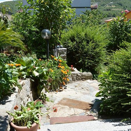 Pietro & Graziella Bed & Breakfast Sorgono ภายนอก รูปภาพ
