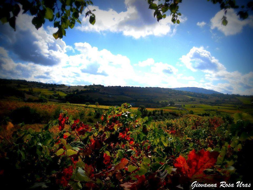 Pietro & Graziella Bed & Breakfast Sorgono ภายนอก รูปภาพ
