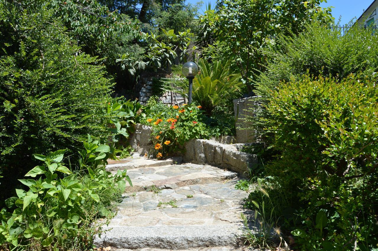 Pietro & Graziella Bed & Breakfast Sorgono ภายนอก รูปภาพ